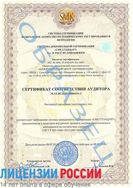 Образец сертификата соответствия аудитора №ST.RU.EXP.00006191-3 Великий Новгород Сертификат ISO 50001